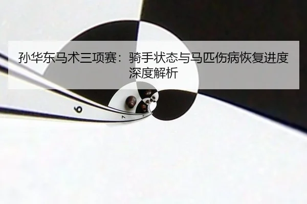 孙华东马术三项赛：骑手状态与马匹伤病恢复进度深度解析